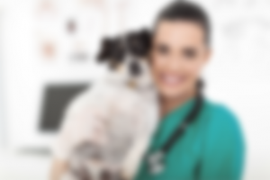 https://www.cliniqueveterinairedugolfe.fr/wp-content/uploads/2016/12/wellness-care-300x200.png