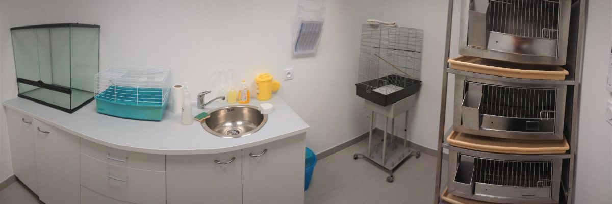 https://www.cliniqueveterinairedugolfe.fr/wp-content/uploads/2020/01/hospitalisation-NAC-scaled-1200x400.jpg