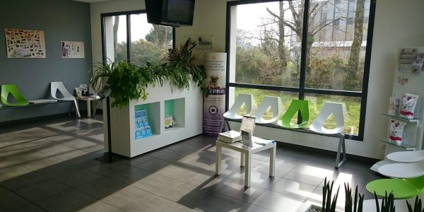 https://www.cliniqueveterinairedugolfe.fr/wp-content/uploads/2020/02/attente-scaled-600x300.jpg